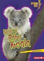 Treffen Sie ein Koala-Baby - Meet a Baby Koala