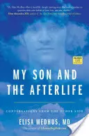 Mein Sohn und das Leben nach dem Tod: Gespräche von der anderen Seite - My Son and the Afterlife: Conversations from the Other Side