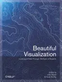 Schöne Visualisierung: Daten mit den Augen von Experten betrachten - Beautiful Visualization: Looking at Data Through the Eyes of Experts