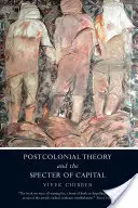 Postkoloniale Theorie und das Gespenst des Kapitals - Postcolonial Theory and the Specter of Capital