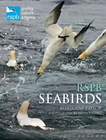 Rspb Seevögel - Rspb Seabirds