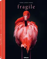 Fragil - Fragile