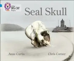 Siegel-Schädel - Seal Skull