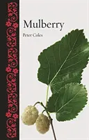 Maulbeere - Mulberry