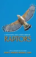 Ein fotografischer Leitfaden für nordamerikanische Raubvögel - A Photographic Guide to North American Raptors
