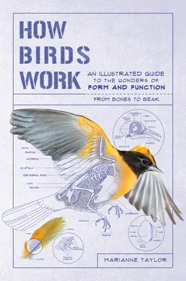 Wie Vögel funktionieren: Ein illustrierter Leitfaden zu den Wundern von Form und Funktion - von den Knochen bis zum Schnabel - How Birds Work: An Illustrated Guide to the Wonders of Form and Function--From Bones to Beak