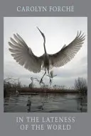 In der Verspätung der Welt - In the Lateness of the World