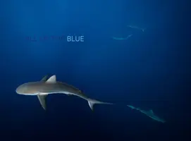 Der Ruf des Blauen - Call of the Blue