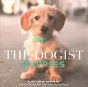 Die Hundewelpen - The Dogist Puppies