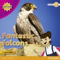 Meine Golfwelt und ich Sachbuchlektüre der Stufe 4: Fantastische Falken - My Gulf World and Me Level 4 non-fiction reader: Fantastic falcons