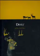 Hirsche - Deer