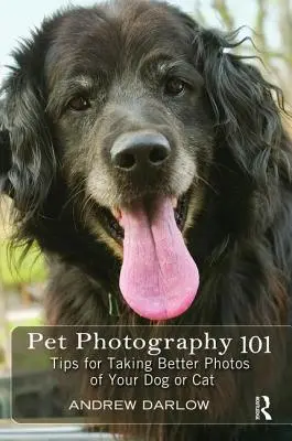 Haustierfotografie 101: Tipps für bessere Fotos von Ihrem Hund oder Ihrer Katze - Pet Photography 101: Tips for Taking Better Photos of Your Dog or Cat