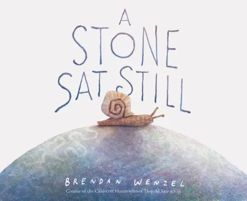Ein Stein SAT Still - A Stone SAT Still