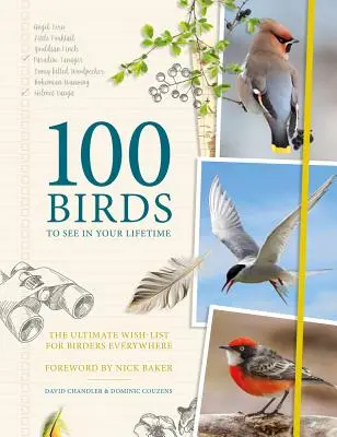 100 Vögel, die Sie in Ihrem Leben sehen sollten: Die ultimative Wunschliste für Vogelfreunde überall - 100 Birds to See in Your Lifetime: The Ultimate Wish-List for Birders Everywhere