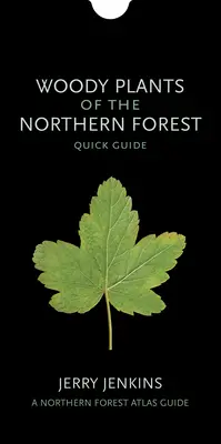 Gehölze des nördlichen Waldes: Kurzanleitung - Woody Plants of the Northern Forest: Quick Guide