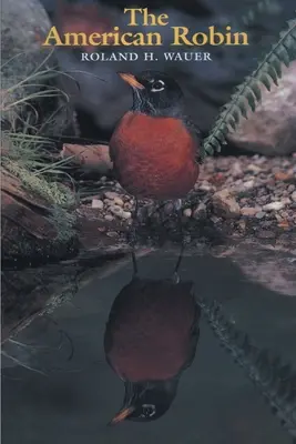 Das amerikanische Rotkehlchen - The American Robin