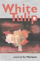 Weiße Tulpe - White Tulip