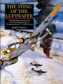 Der Stachel der Luftwaffe: Schnellkampfgeschwader 210 und Zerstörergeschwader 1 Wespengeschwader im Zweiten Weltkrieg - The Sting of the Luftwaffe: Schnellkampfgeschwader 210 and Zerstorergeschwader 1 Wespengeschwader in World War II