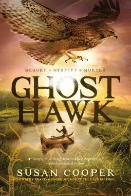 Geisterbussard - Ghost Hawk