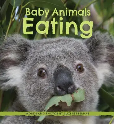 Babytiere essen - Baby Animals Eating