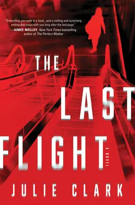 Der letzte Flug - The Last Flight