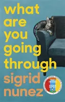 Was du durchmachst - 'Eine totale Freude - und zum Totlachen komisch' DEBORAH MOGGACH - What Are You Going Through - 'A total joy - and laugh-out-loud funny' DEBORAH MOGGACH