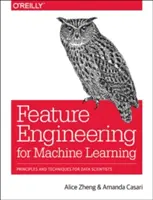 Feature Engineering für maschinelles Lernen: Prinzipien und Techniken für Datenwissenschaftler - Feature Engineering for Machine Learning: Principles and Techniques for Data Scientists