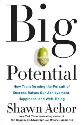 Großes Potenzial: Wie die Transformation des Erfolgsstrebens unsere Leistung, unser Glück und unser Wohlbefinden steigert - Big Potential: How Transforming the Pursuit of Success Raises Our Achievement, Happiness, and Well-Being