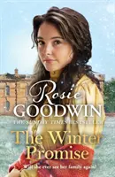 Winter Promise - Von der Sunday Times-Bestsellerautorin - Winter Promise - From the Sunday Times bestselling author