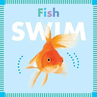 Fische schwimmen - Fish Swim