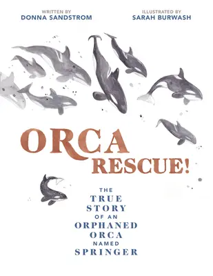 Orca Rescue!: Die wahre Geschichte eines verwaisten Orcas namens Springer - Orca Rescue!: The True Story of an Orphaned Orca Named Springer