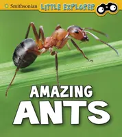 Erstaunliche Ameisen - Amazing Ants