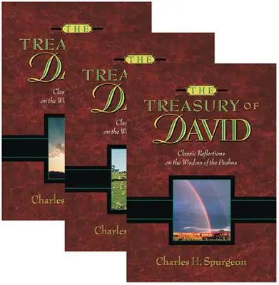 Die Schatzkammer Davids - The Treasury of David