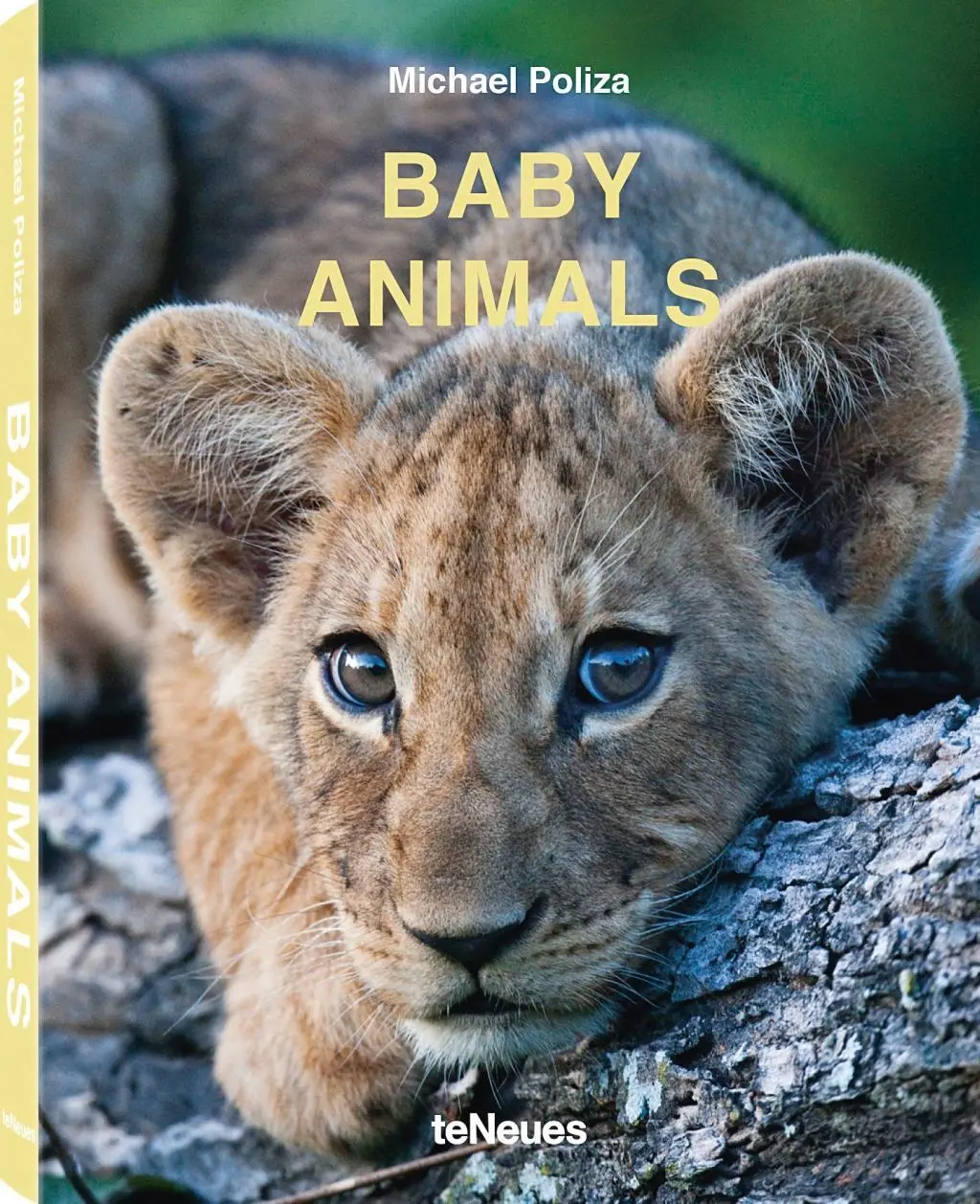 Baby-Tiere - Baby Animals