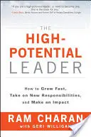 Die Führungskraft mit großem Potenzial: Wie Sie schnell wachsen, neue Aufgaben übernehmen und etwas bewirken - The High-Potential Leader: How to Grow Fast, Take on New Responsibilities, and Make an Impact