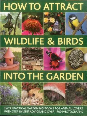 Wie man Wildtiere und Vögel in den Garten lockt: Ein praktischer Gärtnerleitfaden für Tierliebhaber, mit Pflanztipps, Entwürfen und 90 Schritt-für-Schritt-Anleitungen - How to Attract Wildlife & Birds Into the Garden: A Practical Gardener's Guide for Animal Lovers, Including Planting Advice, Designs and 90 Step-By-Ste