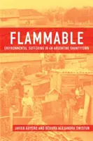 Entflammbar: Umweltleiden in einer argentinischen Barackensiedlung - Flammable: Environmental Suffering in an Argentine Shantytown