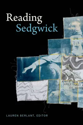 Sedgwick lesen - Reading Sedgwick