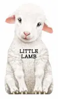 Lämmchen - Little Lamb