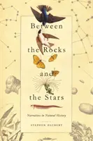 Zwischen den Felsen und den Sternen: Narrative in der Naturgeschichte - Between the Rocks and the Stars: Narratives in Natural History