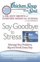 Hühnersuppe für die Seele: Verabschiede dich vom Stress: Bewältige deine großen und kleinen Probleme, jeden Tag - Chicken Soup for the Soul: Say Goodbye to Stress: Manage Your Problems, Big and Small, Every Day