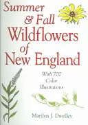 Sommer- und Herbst-Wildblumen aus Neuengland - Summer & Fall Wildflowers of New England