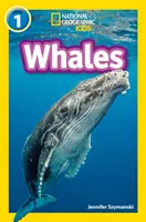 Wale - Stufe 1 - Whales - Level 1