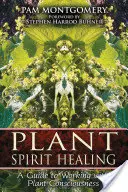 Pflanzengeist-Heilung: Ein Leitfaden für die Arbeit mit dem Pflanzenbewußtsein - Plant Spirit Healing: A Guide to Working with Plant Consciousness