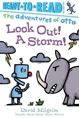 Pass auf, ein Sturm! Ready-To-Read Pre-Level 1 - Look Out! a Storm!: Ready-To-Read Pre-Level 1