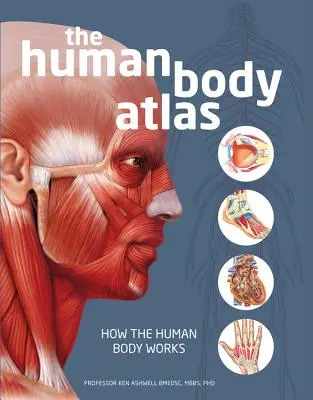 Der Atlas des menschlichen Körpers: Wie der menschliche Körper funktioniert - The Human Body Atlas: How the Human Body Works