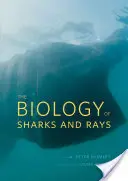 Die Biologie der Haie und Rochen - The Biology of Sharks and Rays