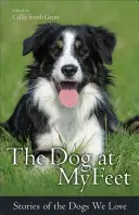 Der Hund zu meinen Füßen: Geschichten von Hunden, die wir lieben - The Dog at My Feet: Stories of the Dogs We Love