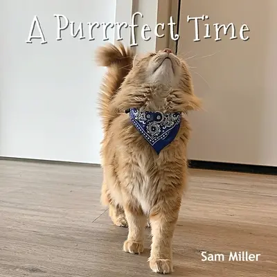 Eine süße Zeit - A Purrrfect Time