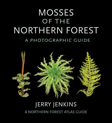 Moose des nördlichen Waldes: Ein fotografischer Führer - Mosses of the Northern Forest: A Photographic Guide